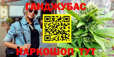jwh Бийск